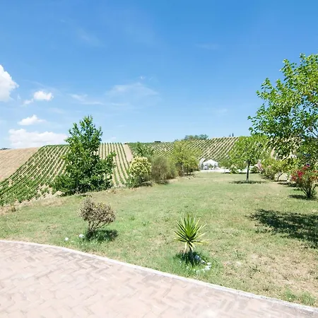 In Grottammare With Jacuzzi & Garden Apartamento *