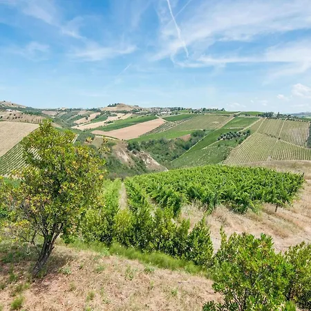 Apartment In Grottammare With Jacuzzi & Garden *