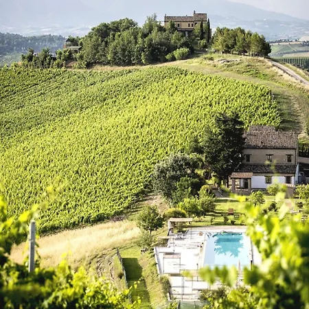 Apartamento In Grottammare With Jacuzzi & Garden